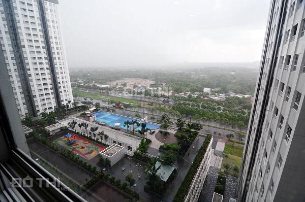 Horse Square Apartment Хошимін Екстер'єр фото